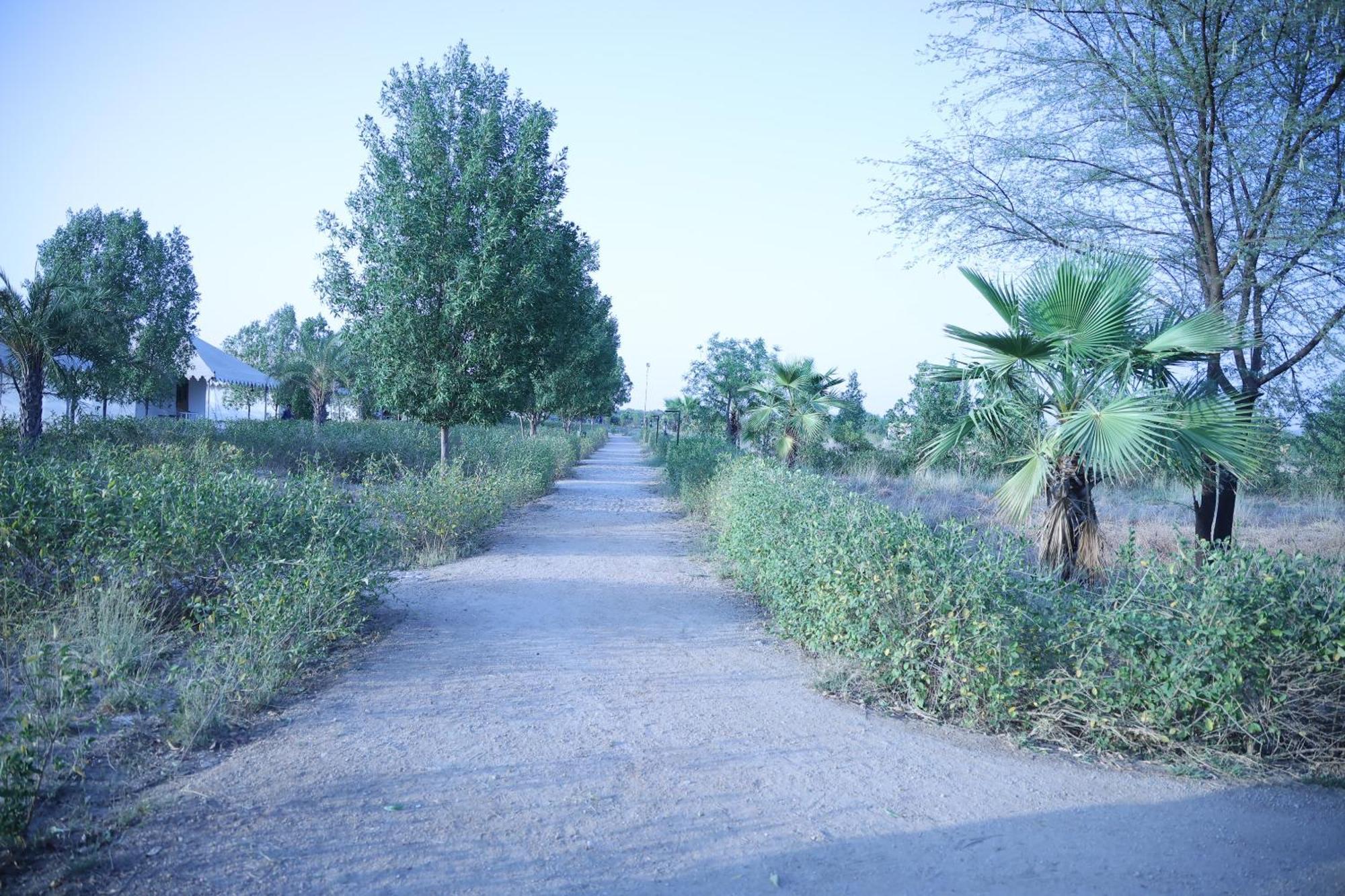 מלון Jawai Bera Leopard Camp מראה חיצוני תמונה