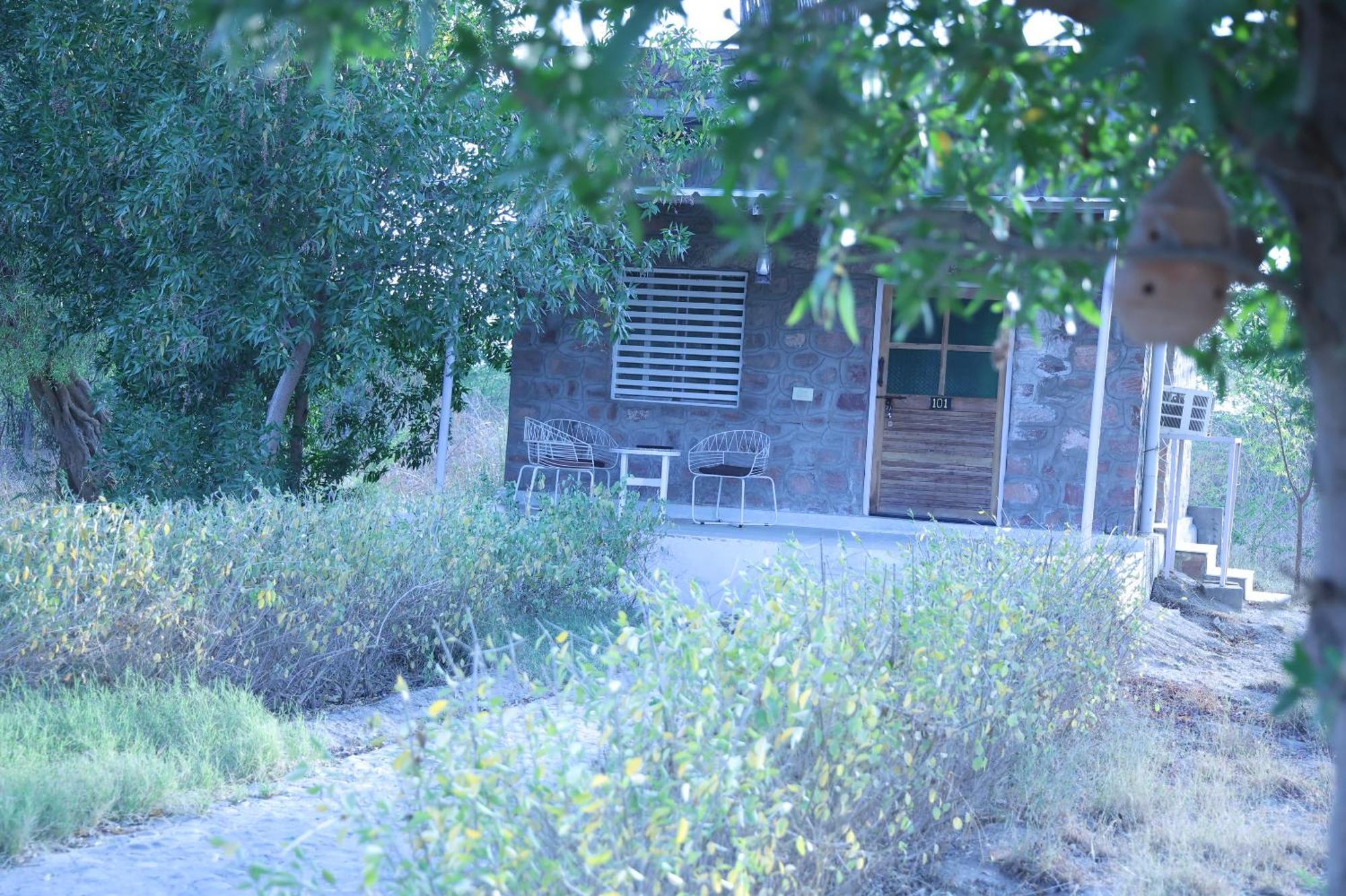 מלון Jawai Bera Leopard Camp מראה חיצוני תמונה
